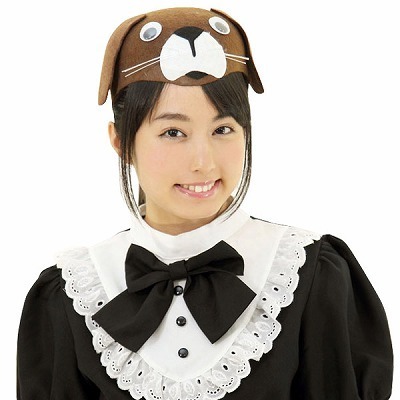 �A�j�}���X�q�@�C�k