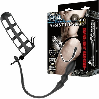 �o�`�A�V�X�g�M�A�@�i�v���O�j