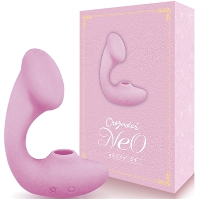 ���z������I���K�X�^�[�@�l�I�@�i�s���N�j