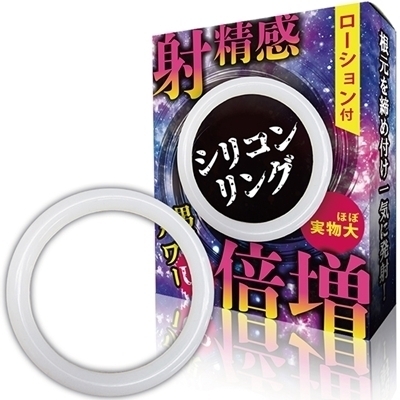 �ː����{���@�i�V���R�������O�j