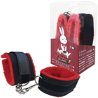 �����t���C���@�i���T�V�C�e�J�Z�@��g�j