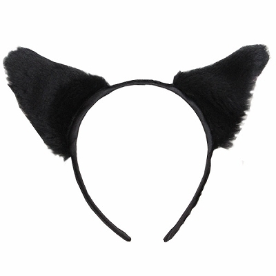 �t���t���L���J�`���[�V���P�i�i�����j