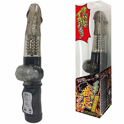 �C�J���I�Ԓ��o�C�u�@�i�X���[�N�j