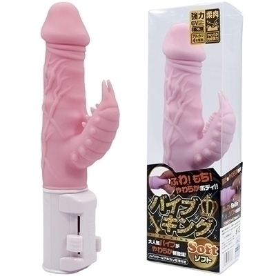 �o�C�u�L���O�\�t�g�@�i�s���N�j