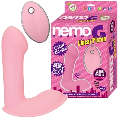 ���������@�f�@�k�����������@�o�����������@�i�s���N�j